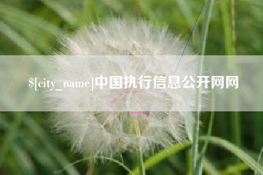 五指山中国执行信息公开网网