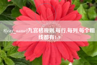 五指山九宫格规则,每行,每列,每个粗线都有1-9
