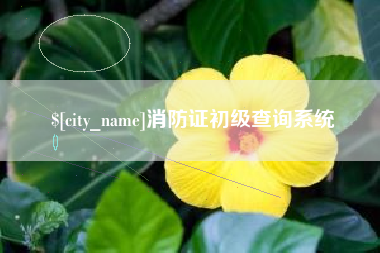 五指山消防证初级查询系统