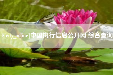 五指山中国执行信息公开网 综合查询