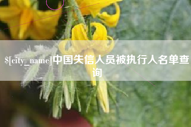 五指山中国失信人员被执行人名单查询