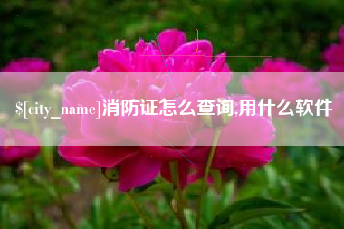 五指山消防证怎么查询,用什么软件