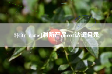 五指山消防产品cccf认证目录