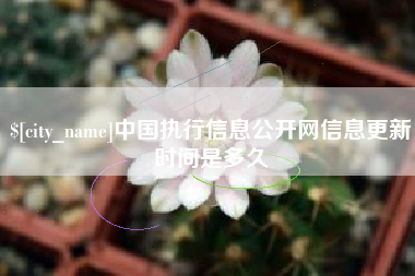 五指山中国执行信息公开网信息更新时间是多久