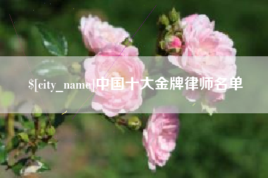 五指山中国十大金牌律师名单