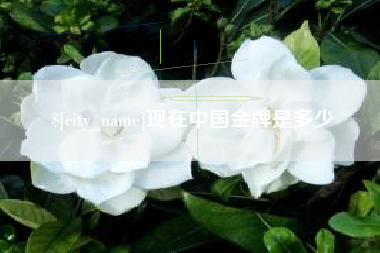 五指山现在中国金牌是多少