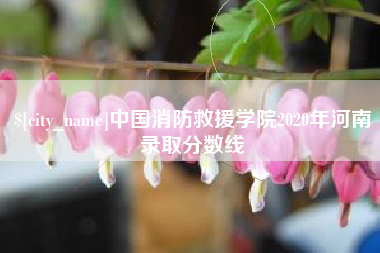 五指山中国消防救援学院2020年河南录取分数线