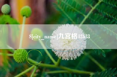 五指山九宫格42633