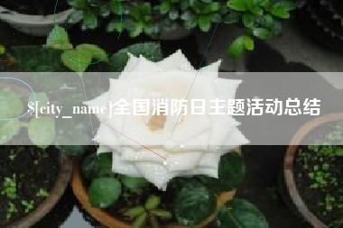 五指山全国消防日主题活动总结