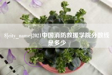 五指山2021中国消防救援学院分数线是多少