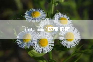 五指山成都 消防