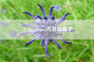 五指山九宫格盘子