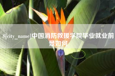 五指山中国消防救援学院毕业就业前景如何