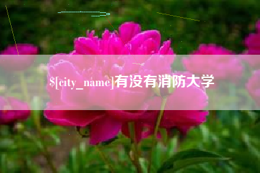 五指山有没有消防大学