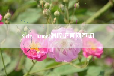 五指山消控证官网查询