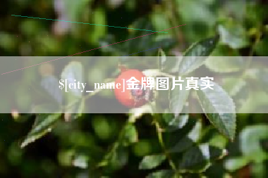 五指山金牌图片真实