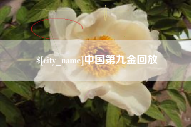 五指山中国第九金回放