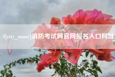 五指山消防考试网官网报名入口网址