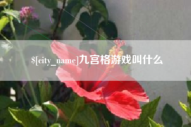 五指山九宫格游戏叫什么