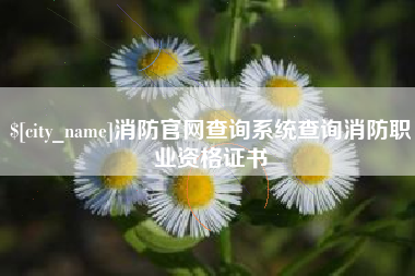 五指山消防官网查询系统查询消防职业资格证书