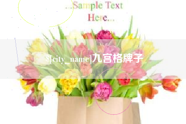 五指山九宫格牌子