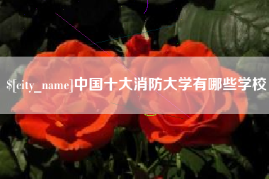 五指山中国十大消防大学有哪些学校