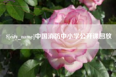 五指山中国消防中小学公开课回放