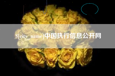 五指山中国执行信息公开网