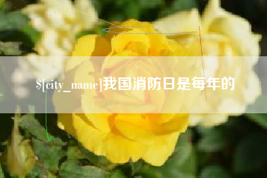 五指山我国消防日是每年的