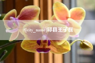 五指山邱县王子磊
