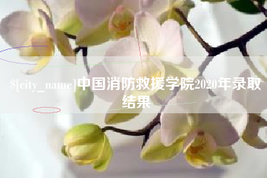 五指山中国消防救援学院2020年录取结果