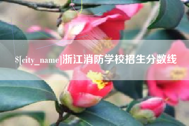 五指山浙江消防学校招生分数线