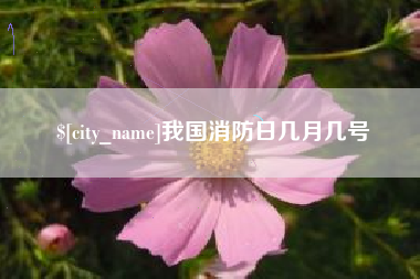 五指山我国消防日几月几号
