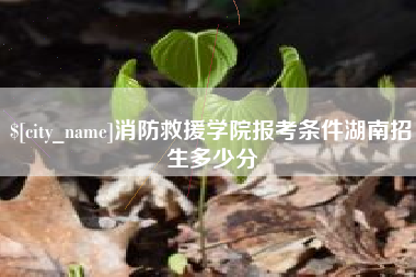 五指山消防救援学院报考条件湖南招生多少分