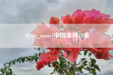 五指山中国金牌18金