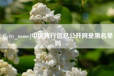 五指山中国执行信息公开网是黑名单吗
