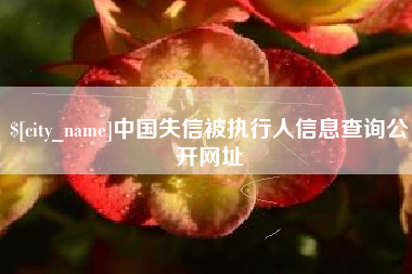 五指山中国失信被执行人信息查询公开网址