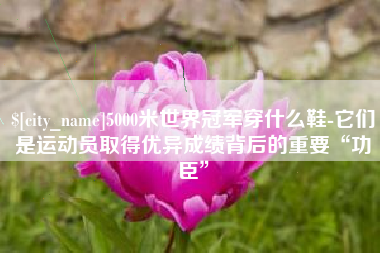 五指山5000米世界冠军穿什么鞋-它们是运动员取得优异成绩背后的重要“功臣”