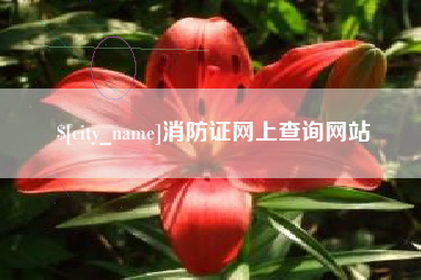 五指山消防证网上查询网站