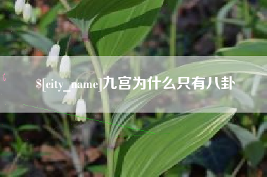 五指山九宫为什么只有八卦