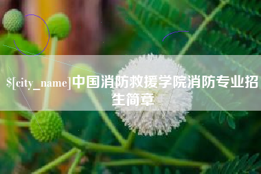 五指山中国消防救援学院消防专业招生简章