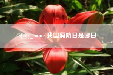 五指山我国消防日是哪日