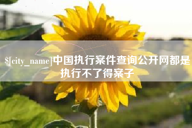 五指山中国执行案件查询公开网都是执行不了得案子