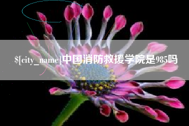 五指山中国消防救援学院是985吗