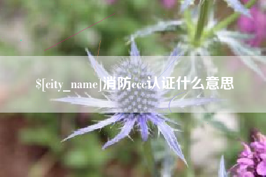 五指山消防ccc认证什么意思