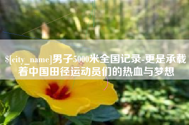 五指山男子5000米全国记录-更是承载着中国田径运动员们的热血与梦想