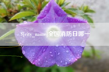 五指山全国消防日哪一