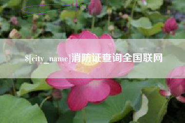 五指山消防证查询全国联网