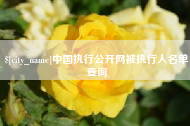 五指山中国执行公开网被执行人名单查询