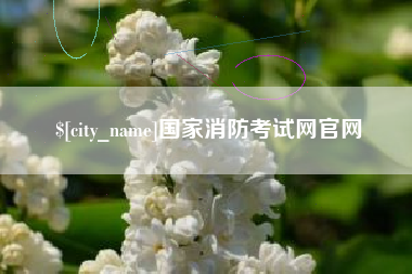 五指山国家消防考试网官网